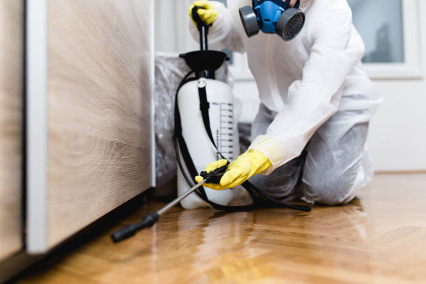 Best Affordable Pest Control Services  in Grapeland, TX