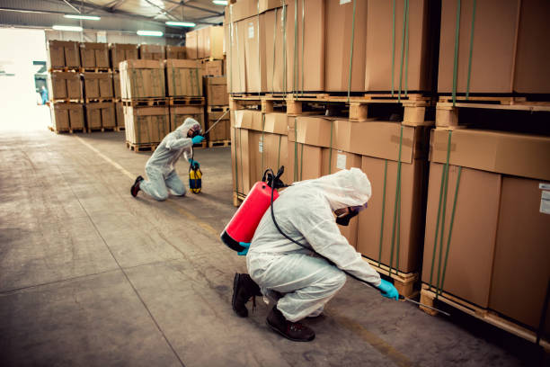 Best Commercial Pest Control Services  in Grapeland, TX