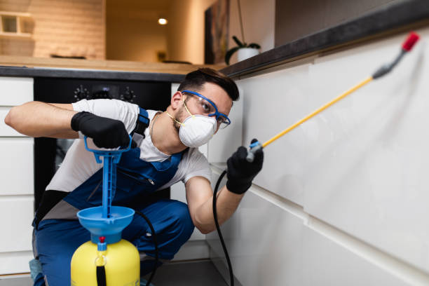 Best Best Pest Control Companies  in Grapeland, TX