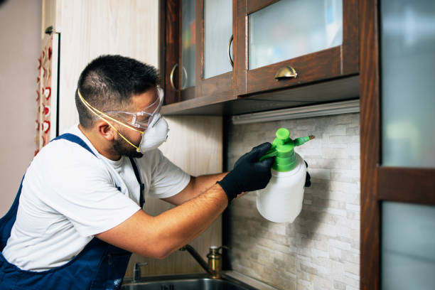 Best Wildlife Control Services  in Grapeland, TX