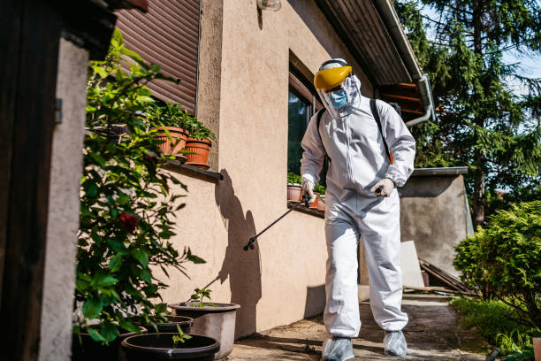 Best Wasp Removal Services  in Grapeland, TX