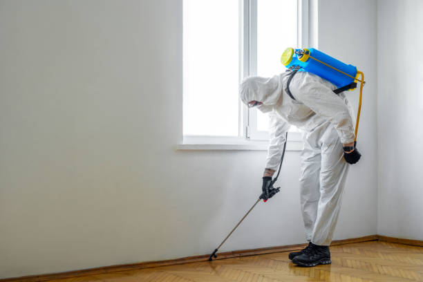 Trusted Grapeland, TX Pest Control Experts
