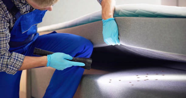 Best Pest Control for Restaurants  in Grapeland, TX