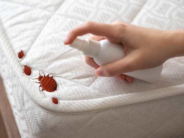 Best Exterminator Services  in Grapeland, TX