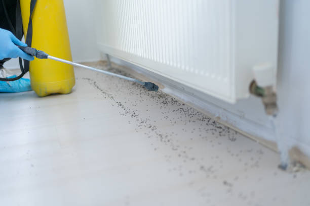 Best Exterminator Services  in Grapeland, TX